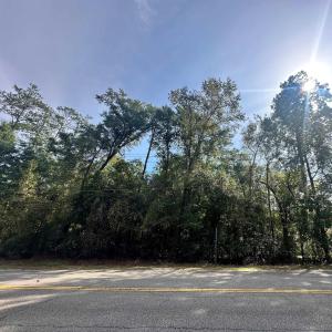 Photo #4 of TBD Main St., Nichols, SC 0.6 acres