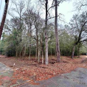 Photo #2 of TBD Main St., Nichols, SC 0.6 acres