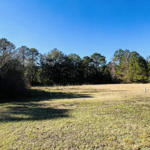 Photo #4 of Lot 31 Oak Bay Dr., Georgetown, SC 0.2 acres