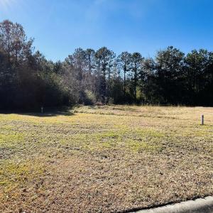 Photo #9 of Lot 31 Oak Bay Dr., Georgetown, SC 0.2 acres