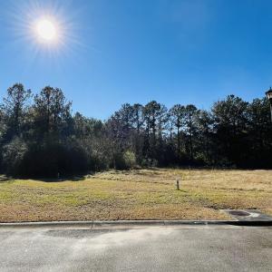 Photo #3 of Lot 31 Oak Bay Dr., Georgetown, SC 0.2 acres