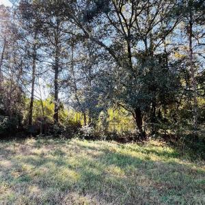 Photo #7 of Lot 31 Oak Bay Dr., Georgetown, SC 0.2 acres
