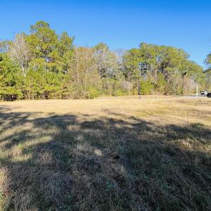 Photo #11 of Lot 31 Oak Bay Dr., Georgetown, SC 0.2 acres
