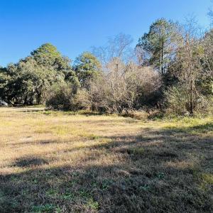 Photo #8 of Lot 31 Oak Bay Dr., Georgetown, SC 0.2 acres