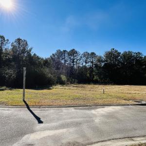 Photo #2 of Lot 31 Oak Bay Dr., Georgetown, SC 0.2 acres