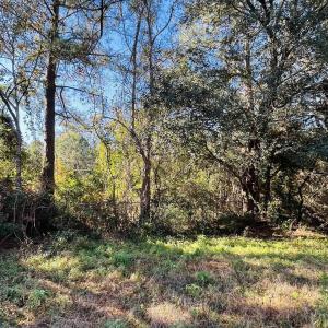 Photo #10 of Lot 31 Oak Bay Dr., Georgetown, SC 0.2 acres