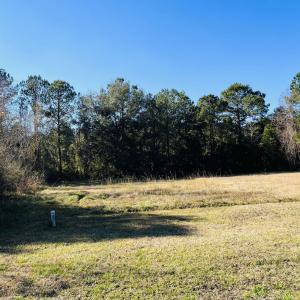Photo #5 of Lot 31 Oak Bay Dr., Georgetown, SC 0.2 acres