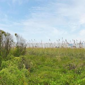 Photo #7 of 5514 Ocean Blvd. N, Myrtle Beach, SC 0.1 acres