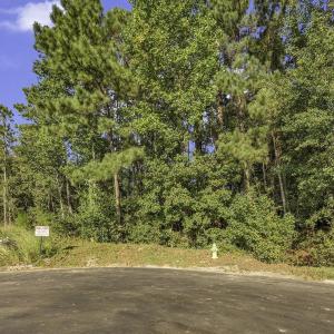 Photo #1 of 425 Pilot House Dr., Myrtle Beach, SC 0.4 acres