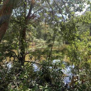 View of nature with a water view