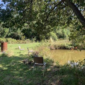 View of yard with a water view