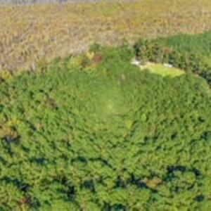 Photo #12 of TBD Mishoe Rd., Conway, SC 2.7 acres
