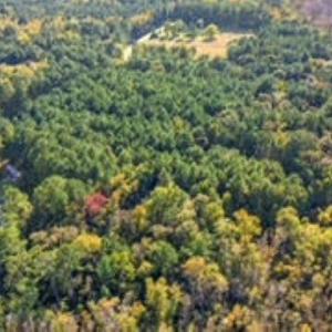 Photo #9 of TBD Mishoe Rd., Conway, SC 2.7 acres