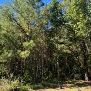 Photo #2 of TBD Mishoe Rd., Conway, SC 2.7 acres