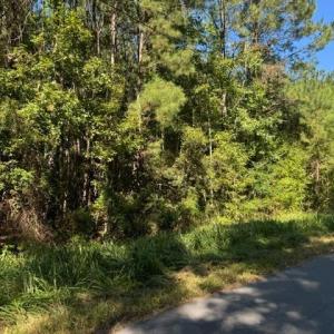 Photo #4 of TBD Mishoe Rd., Conway, SC 2.7 acres