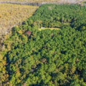 Photo #11 of TBD Mishoe Rd., Conway, SC 2.7 acres