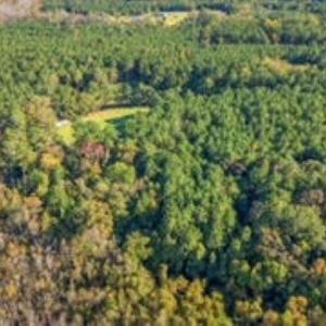 Photo #10 of TBD Mishoe Rd., Conway, SC 2.7 acres