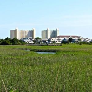 Photo #7 of TBD H C Lewis Ln., North Myrtle Beach, SC 3.3 acres