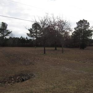 Photo #1 of 3616 Louisbury Road, Wake Forest, NC 1.1 acres
