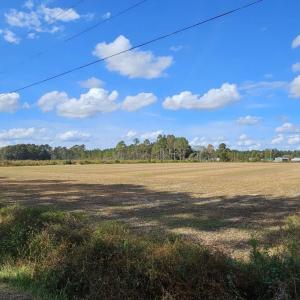 View of nature featuring a rural view