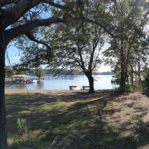 Photo #3 of TBD White Oak Dr., Manning, SC 20.5 acres