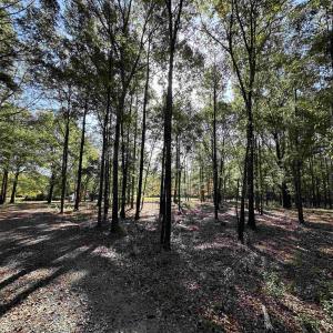 Photo #26 of TBD White Oak Dr., Manning, SC 20.5 acres