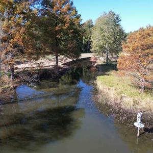 Photo #7 of TBD White Oak Dr., Manning, SC 20.5 acres