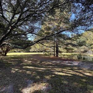 Photo #20 of TBD White Oak Dr., Manning, SC 20.5 acres