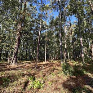 Photo #22 of TBD White Oak Dr., Manning, SC 20.5 acres