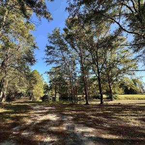 Photo #25 of TBD White Oak Dr., Manning, SC 20.5 acres