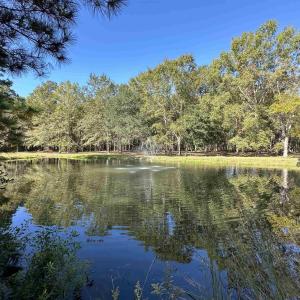 Photo #9 of TBD White Oak Dr., Manning, SC 20.5 acres