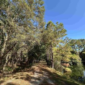 Photo #23 of TBD White Oak Dr., Manning, SC 20.5 acres