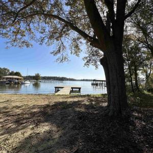 Photo #2 of TBD White Oak Dr., Manning, SC 20.5 acres