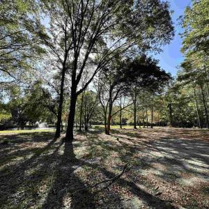 Photo #24 of TBD White Oak Dr., Manning, SC 20.5 acres