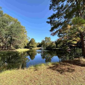 Photo #8 of TBD White Oak Dr., Manning, SC 20.5 acres