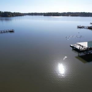 Photo #5 of TBD White Oak Dr., Manning, SC 20.5 acres