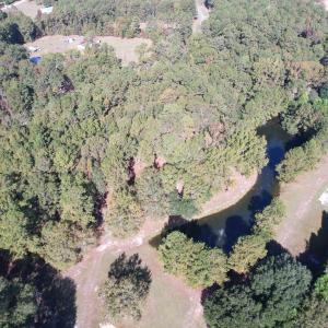 Photo #16 of TBD White Oak Dr., Manning, SC 20.5 acres