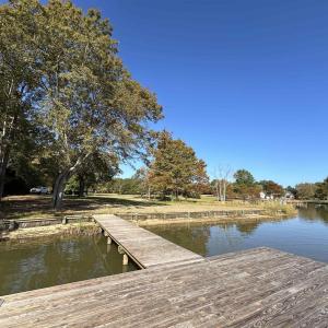 Photo #1 of TBD White Oak Dr., Manning, SC 20.5 acres