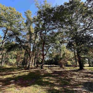 Photo #21 of TBD White Oak Dr., Manning, SC 20.5 acres