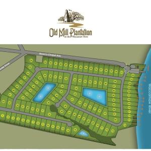 Photo #5 of TBD Old Bucksville Rd., Conway, SC 160.0 acres