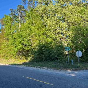 Photo #2 of TBD Petigru Dr., Pawleys Island, SC 0.3 acres