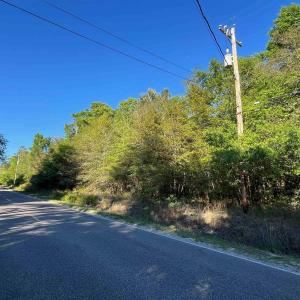 Photo #3 of 2564 Petigru Dr., Pawleys Island, SC 1.3 acres