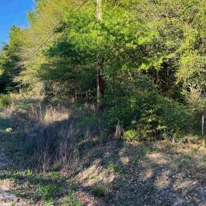 Photo #2 of 2564 Petigru Dr., Pawleys Island, SC 1.3 acres