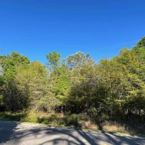 Photo #4 of 2564 Petigru Dr., Pawleys Island, SC 1.3 acres