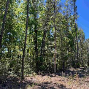 Photo #2 of 200 Petigru Dr., Pawleys Island, SC 1.0 acres