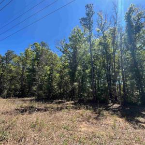 Photo #3 of 200 Petigru Dr., Pawleys Island, SC 1.0 acres
