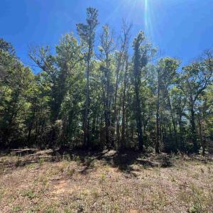 Photo #5 of 200 Petigru Dr., Pawleys Island, SC 1.0 acres