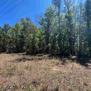 Photo #4 of 200 Petigru Dr., Pawleys Island, SC 1.0 acres