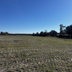 View of nature featuring a rural view