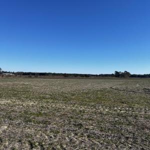 View of local wilderness featuring a rural view